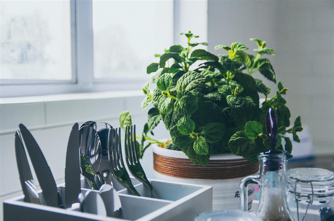 Healthy Kitchens and Laundries